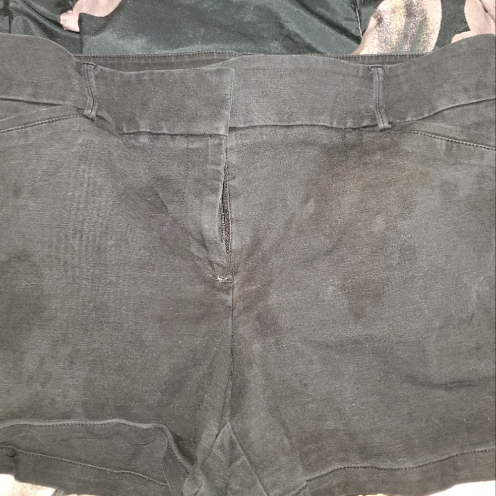 The Loft Shorts